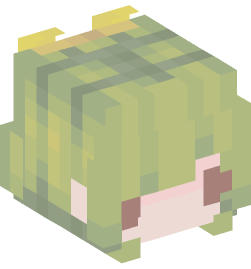 Minecraft head — People