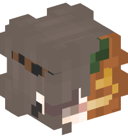 Minecraft head — People