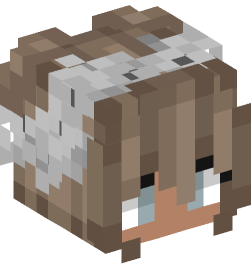 Minecraft head — People