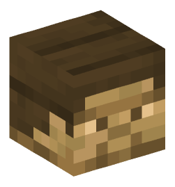 Minecraft head — Decor