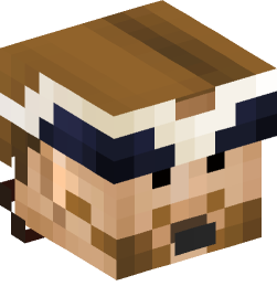 Minecraft head — People