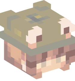 Minecraft head — People