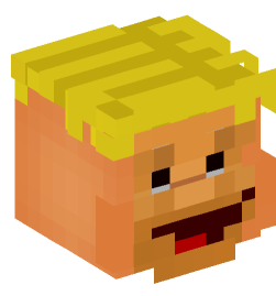 Minecraft head — People