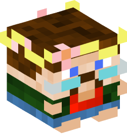 Minecraft head — Decor