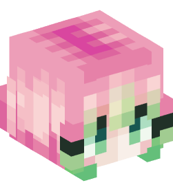 Minecraft head — People