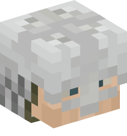 Minecraft head — People