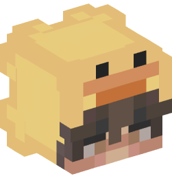 Minecraft head — People