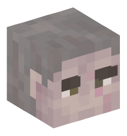 Minecraft head — People