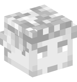 Minecraft head — Decor