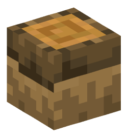 Minecraft head — Blocks