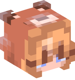 Minecraft head — People