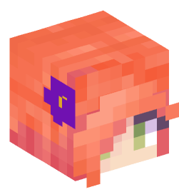 Minecraft head — People