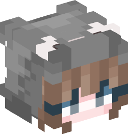 Minecraft head — People