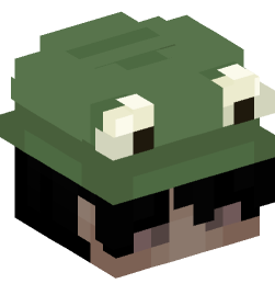 Minecraft head — People