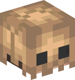 Minecraft head — People