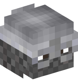 Minecraft head — People