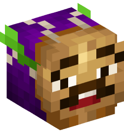 Minecraft head — People