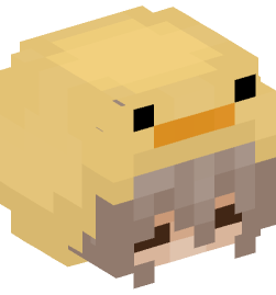 Minecraft head — People