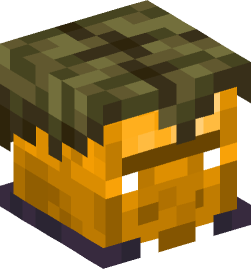 Minecraft head — Creatures