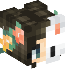 Minecraft head — People