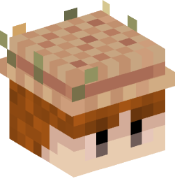 Minecraft head — People