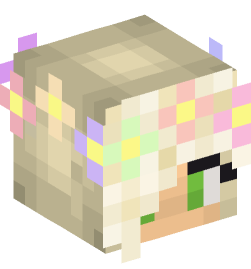 Minecraft head — People