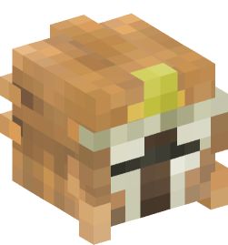 Minecraft head — People