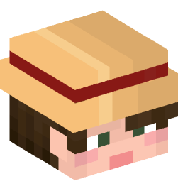 Minecraft head — People