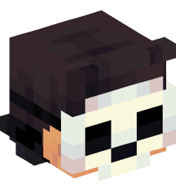 Minecraft head — People