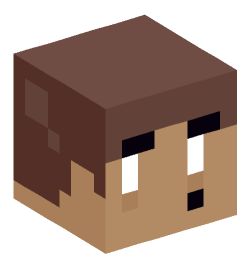 Minecraft head — Miscellaneous