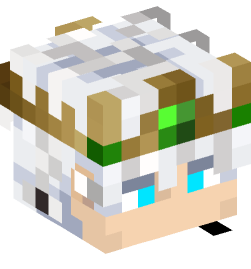 Minecraft head — People