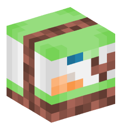 Minecraft head — Decor