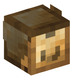 Minecraft head — Decor