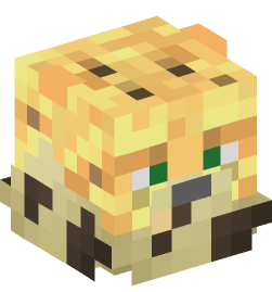 Minecraft head — Decor