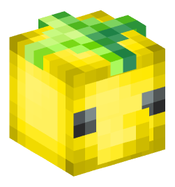 Minecraft head — Creatures