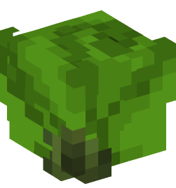 Minecraft head — Plants