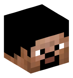 Minecraft head — People