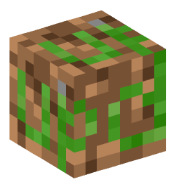 Minecraft head — Miscellaneous