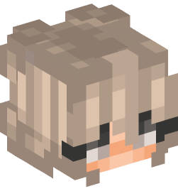 Minecraft head — People