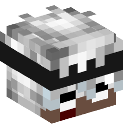 Minecraft head — People