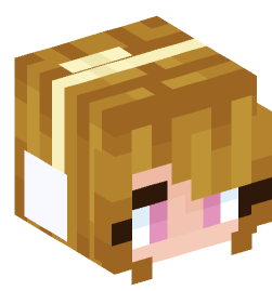 Minecraft head — People