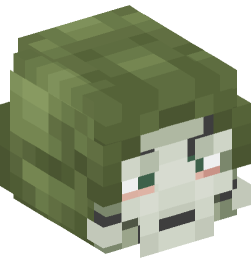 Minecraft head — People