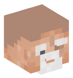 Minecraft head — People