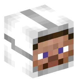 Minecraft head — People