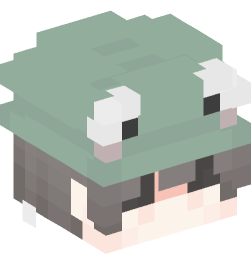 Minecraft head — People