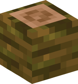 Minecraft head — Blocks