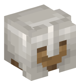 Minecraft head — Decor