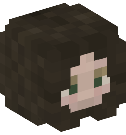 Minecraft head — People