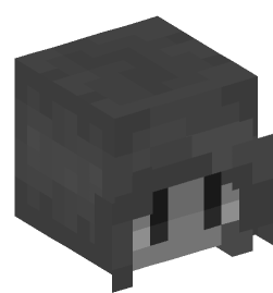 Minecraft head — Decor