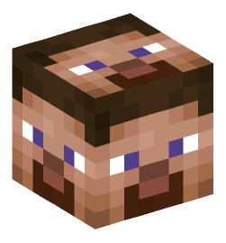 Minecraft head — Miscellaneous